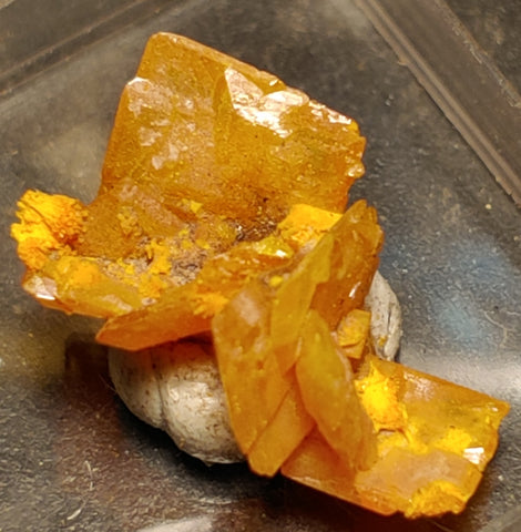 Wulfenite and Mimetite from Rowley Mine, Arizona. 1.7 cm #4070