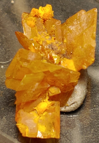 Wulfenite and Mimetite from Rowley Mine, Arizona. 1.7 cm #4070
