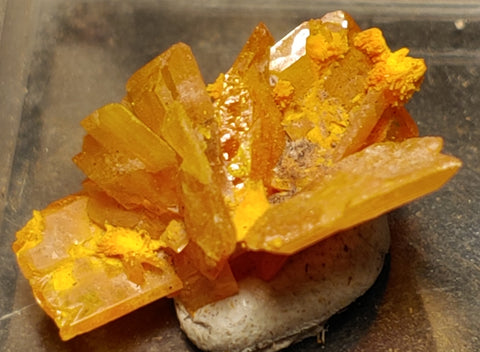 Wulfenite and Mimetite from Rowley Mine, Arizona. 1.7 cm #4070