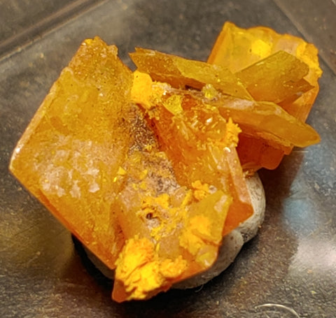 Wulfenite and Mimetite from Rowley Mine, Arizona. 1.7 cm #4070