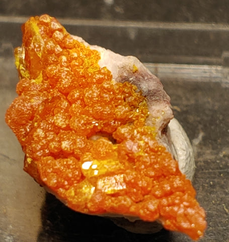 Wulfenite and Mimetite from Rowley Mine, Arizona. 2.5 cm #4072