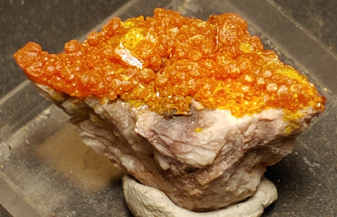 Wulfenite and Mimetite from Rowley Mine, Arizona. 2.5 cm #4072