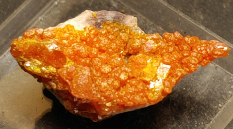 Wulfenite and Mimetite from Rowley Mine, Arizona. 2.5 cm #4072