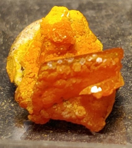 Wulfenite and Mimetite from Rowley Mine, Arizona. 1.1 cm #4074
