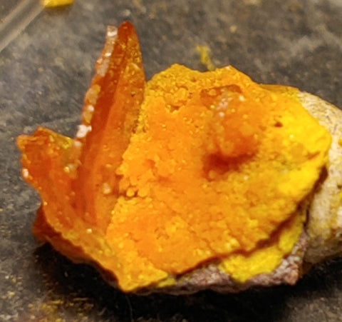 Wulfenite and Mimetite from Rowley Mine, Arizona. 1.1 cm #4074