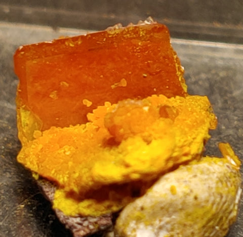Wulfenite and Mimetite from Rowley Mine, Arizona. 1.1 cm #4074