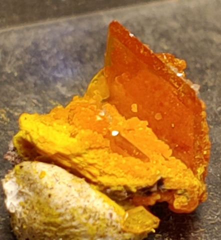 Wulfenite and Mimetite from Rowley Mine, Arizona. 1.1 cm #4074