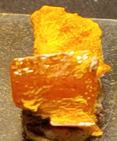 Wulfenite and Mimetite from Rowley Mine, Arizona. 1.1 cm #4075