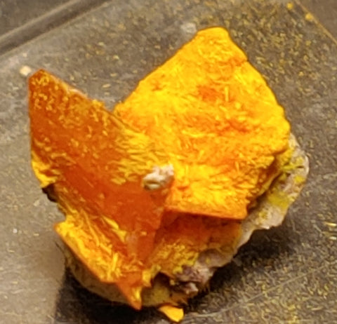 Wulfenite and Mimetite from Rowley Mine, Arizona. 1.1 cm #4075