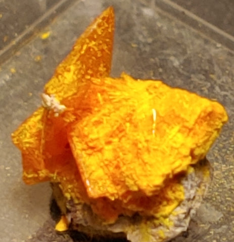 Wulfenite and Mimetite from Rowley Mine, Arizona. 1.1 cm #4075