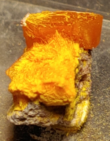 Wulfenite and Mimetite from Rowley Mine, Arizona. 1.1 cm #4075