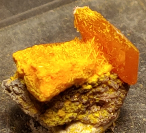 Wulfenite and Mimetite from Rowley Mine, Arizona. 1.1 cm #4075