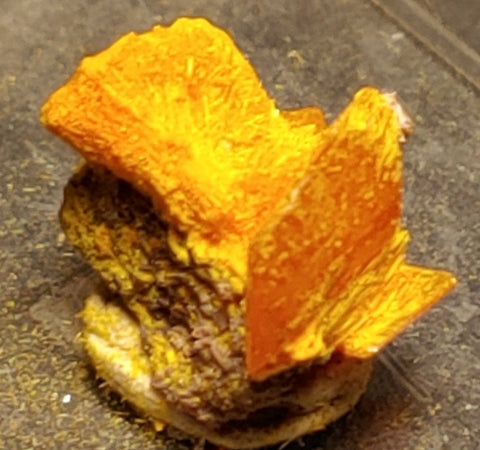 Wulfenite and Mimetite from Rowley Mine, Arizona. 1.1 cm #4075