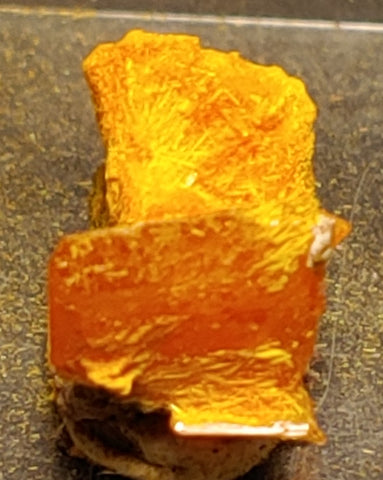 Wulfenite and Mimetite from Rowley Mine, Arizona. 1.1 cm #4075