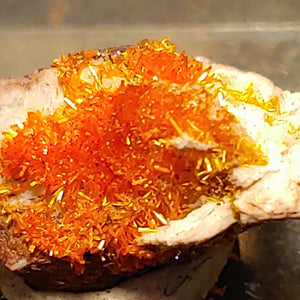 Wulfenite and Mimetite from Rowley Mine, Arizona. 1.7 cm #4081