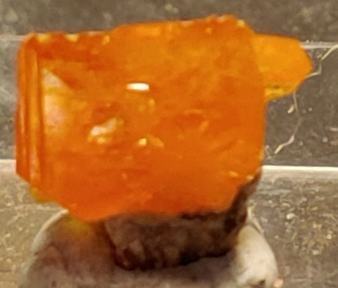 Wulfenite from Rowley Mine, Arizona. 1 cm #4087