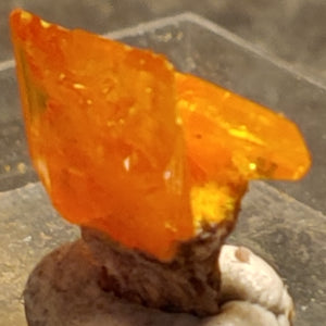 Wulfenite from Rowley Mine, Arizona. 1 cm #4087