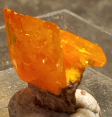 Wulfenite from Rowley Mine, Arizona. 1 cm #4087