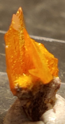 Wulfenite from Rowley Mine, Arizona. 1 cm #4087