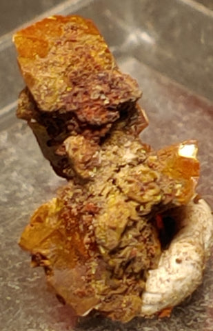 Wulfenite from Red Cloud Mine, Arizona. Stock 1.2 cm #5221