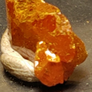 Wulfenite from Red Cloud Mine, Arizona. Stock 1.1 cm #5223