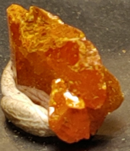 Wulfenite from Red Cloud Mine, Arizona. Stock 1.1 cm #5223