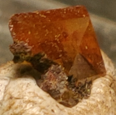 Wulfenite from Red Cloud Mine, Arizona. Stock 0.6 cm #5229
