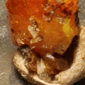 Wulfenite from Red Cloud Mine, Arizona. Stock 0.9 cm #5234