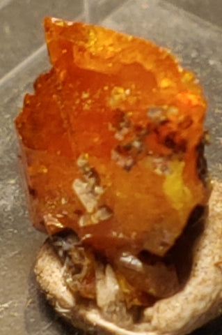 Wulfenite from Red Cloud Mine, Arizona. Stock 0.9 cm #5234