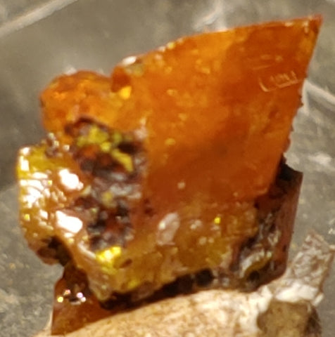 Wulfenite from Red Cloud Mine, Arizona. Stock 0.9 cm #5234