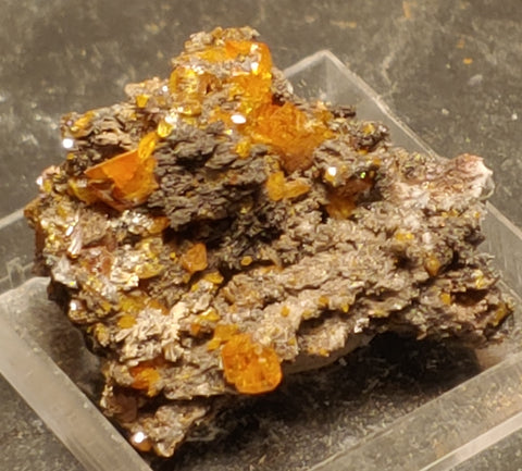 Wulfenite from Red Cloud Mine, Arizona.  3 cm #5235