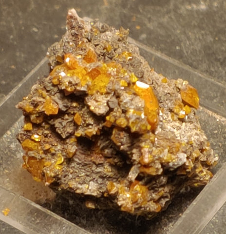 Wulfenite from Red Cloud Mine, Arizona.  3 cm #5235