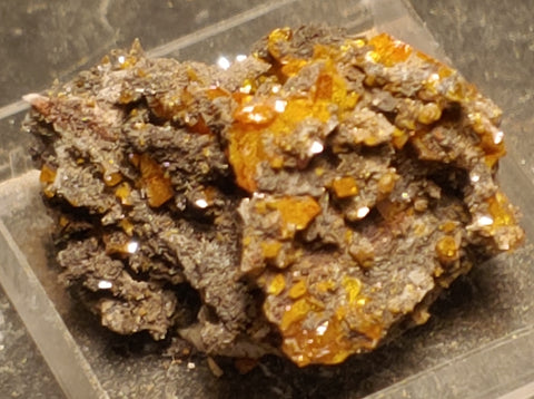 Wulfenite from Red Cloud Mine, Arizona.  3 cm #5235