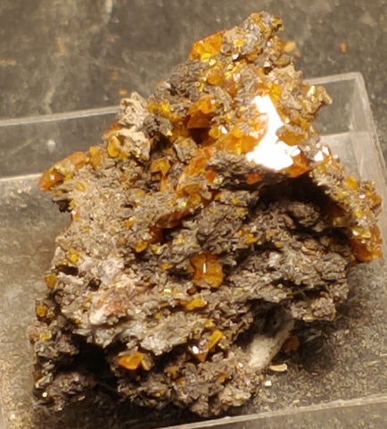 Wulfenite from Red Cloud Mine, Arizona.  3 cm #5235