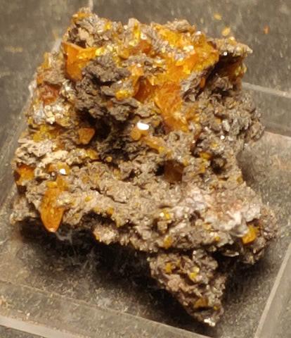 Wulfenite from Red Cloud Mine, Arizona.  3 cm #5235