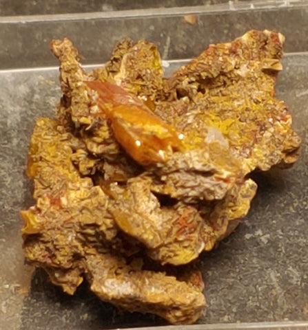 Wulfenite from Red Cloud Mine, Arizona.  2.5 cm #5236