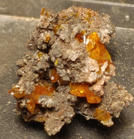 Wulfenite from Red Cloud Mine, Arizona.  2 cm #5237