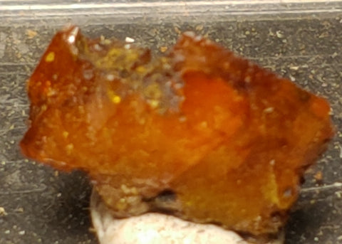 Wulfenite from Red Cloud Mine, Arizona.  1.2 cm #5238