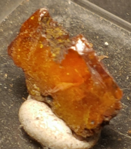 Wulfenite from Red Cloud Mine, Arizona.  1.2 cm #5238