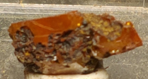 Wulfenite from Red Cloud Mine, Arizona.  1.2 cm #5238