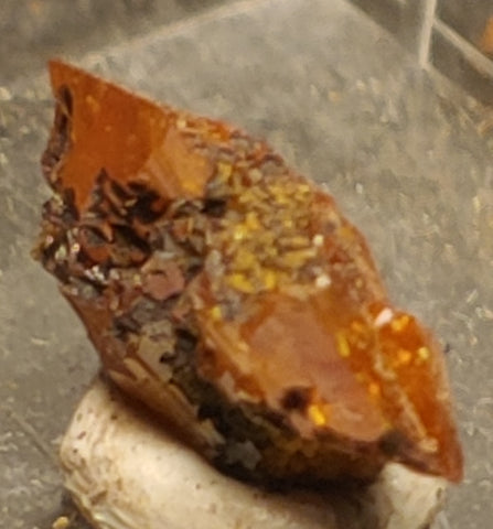 Wulfenite from Red Cloud Mine, Arizona.  1.2 cm #5238