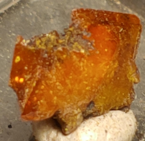 Wulfenite from Red Cloud Mine, Arizona.  1.2 cm #5238