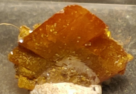 Wulfenite from Red Cloud Mine, Arizona.  1.2 cm #5239