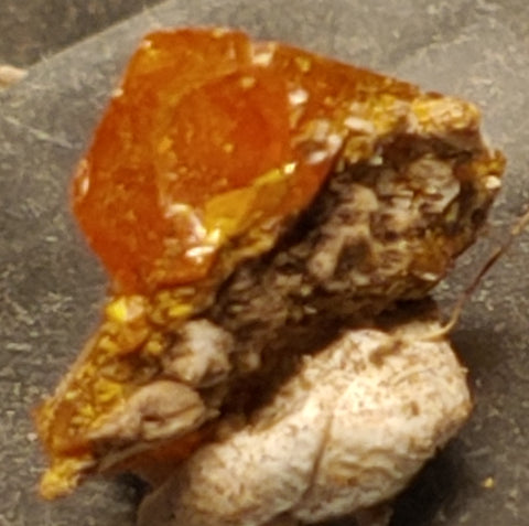 Wulfenite from Red Cloud Mine, Arizona.  1.2 cm #5239