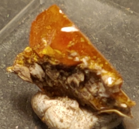 Wulfenite from Red Cloud Mine, Arizona.  1.2 cm #5239