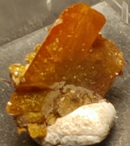 Wulfenite from Red Cloud Mine, Arizona.  1.2 cm #5239