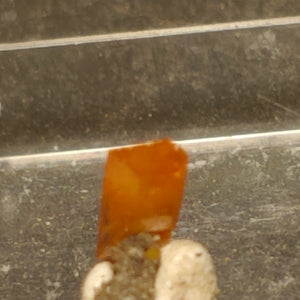 Wulfenite from Red Cloud Mine, Arizona.  0.5 cm #5242