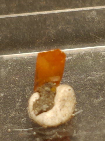 Wulfenite from Red Cloud Mine, Arizona.  0.5 cm #5242