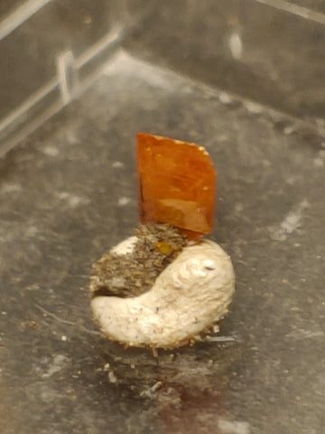 Wulfenite from Red Cloud Mine, Arizona.  0.5 cm #5242