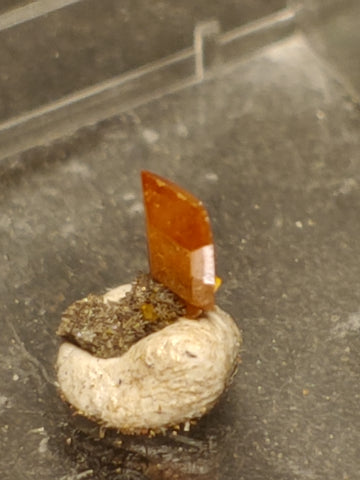 Wulfenite from Red Cloud Mine, Arizona.  0.5 cm #5242